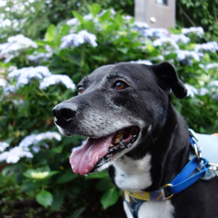 75f93374 9f33 4b76 b788 99d1b8397899 1749690574009