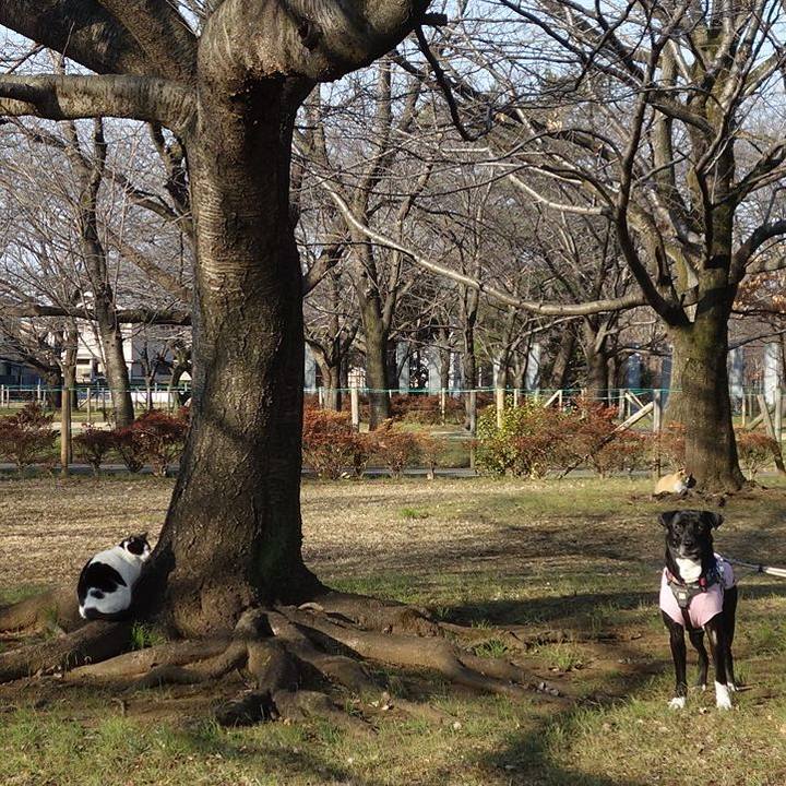 75f95798 a767 4588 97c0 131b0ed8b64c 1645926022454