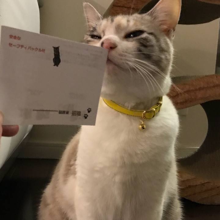 75f975a9 aceb 424b 9491 1eca1d83071f 1515928138450