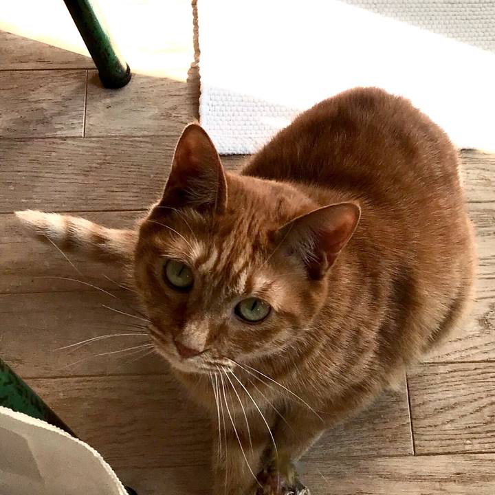 75f97678 012d 4489 91f5 83b390274154 1578633702906