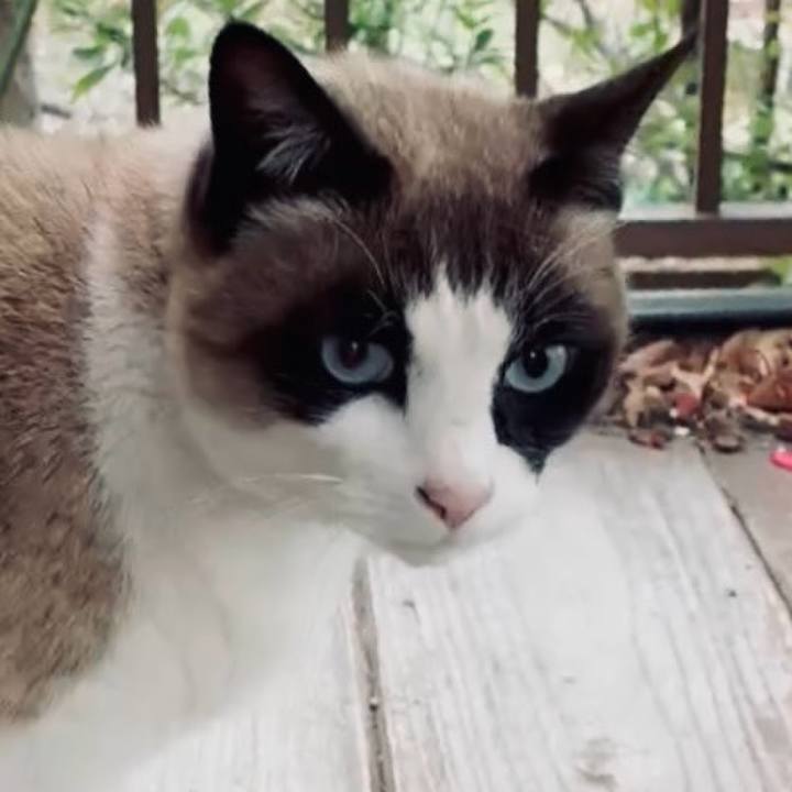 75f97d5a a4f1 45a1 bd62 9b17239c5200 1771080720637