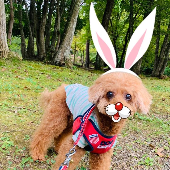 75f98bc9 9bc9 4eca be35 0f46c2d41be3 1632257505588