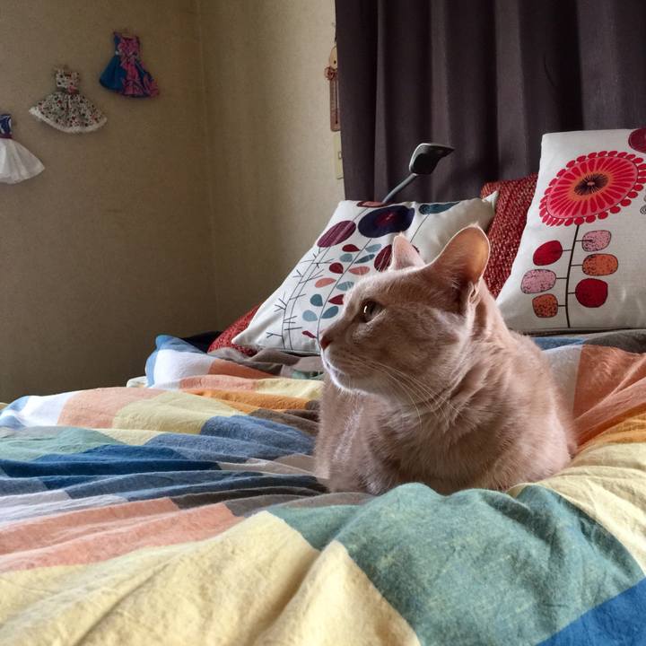 75fa1044 3810 4f57 afaa b89df1cfd5f7 1569120523827