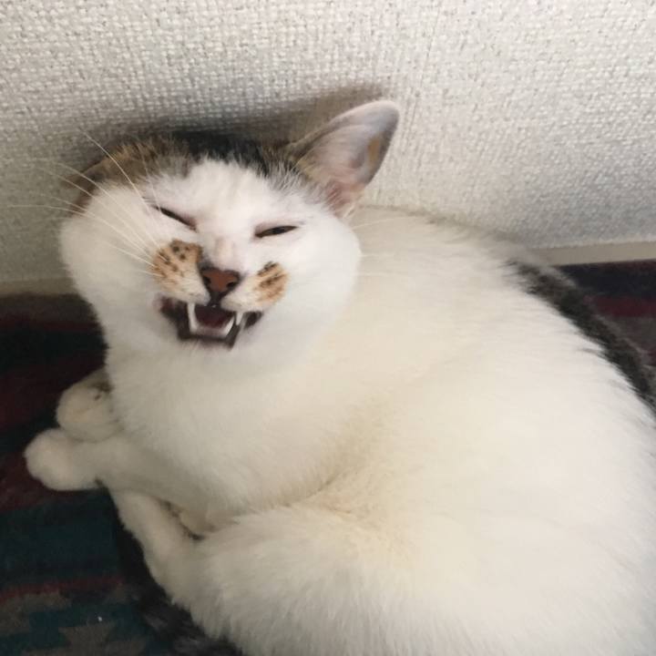 75fa2244 40f0 4307 b110 67981ef31e1a 1527650650740