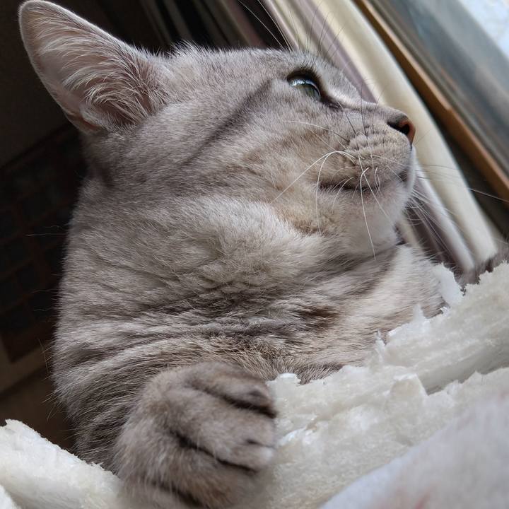 75fa757f 5b77 4656 b384 71586fa7289d 1643098752236