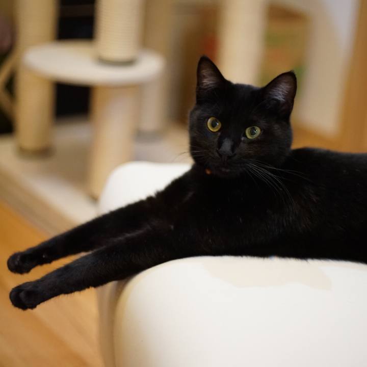 75fa8dea 2565 46a4 afd1 038e2e8508f0 1525737436819