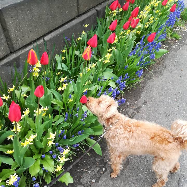 75fa9c71 8c5a 4f40 a029 3d358f25965e 1525729766425