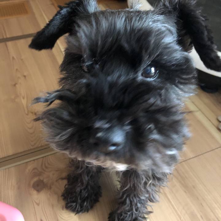 75fab733 0d79 438a 9d5a b35b8cf84a29 1584498866953