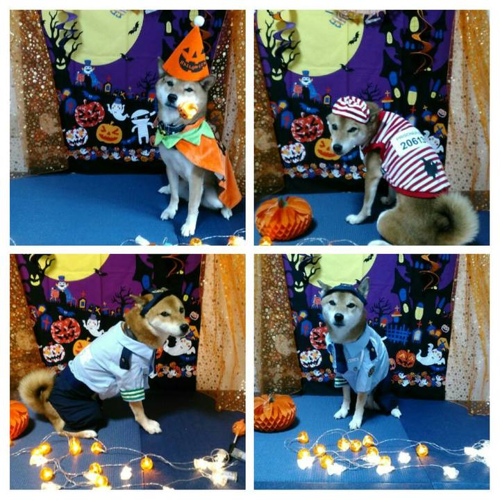 75fac3ff 5353 44a2 8e93 467ade082fd7 1571704705796