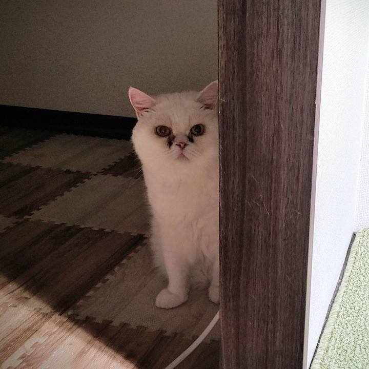 75fae0dd 8cfe 416a bc0f 6cb1c7bae0fd 1719680709536