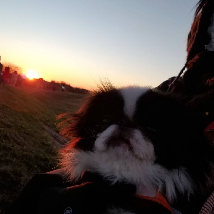 75faef14 d793 4a52 958e 1ba538273a90 1640994455394