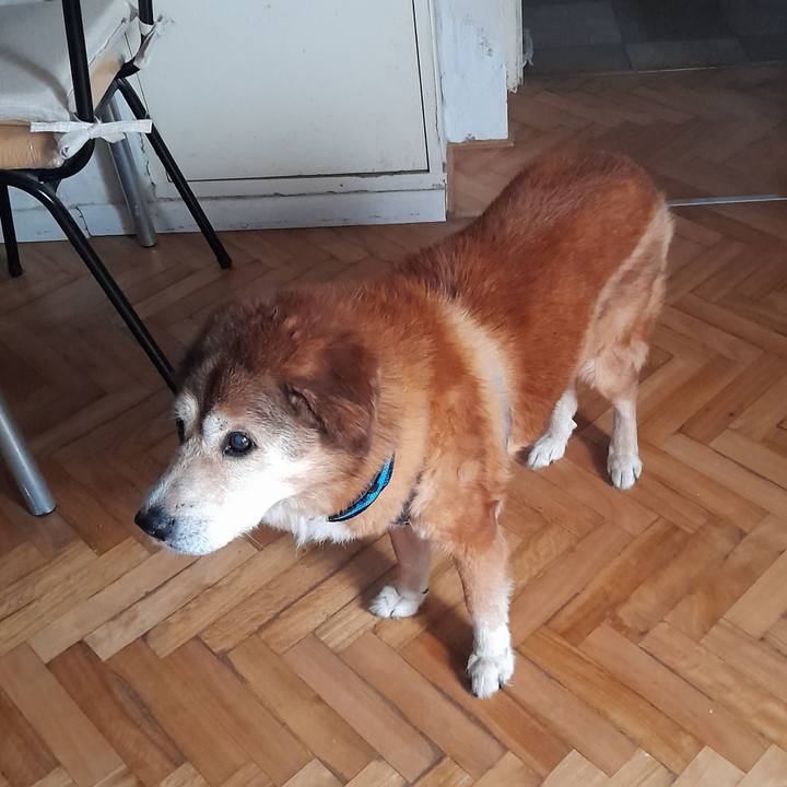 75fb0ab7 0d94 42df 9186 606129c33f4c 1765418186596