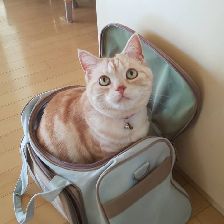 75fb4216 1774 45df 8056 b815c7c05922 1554769913608