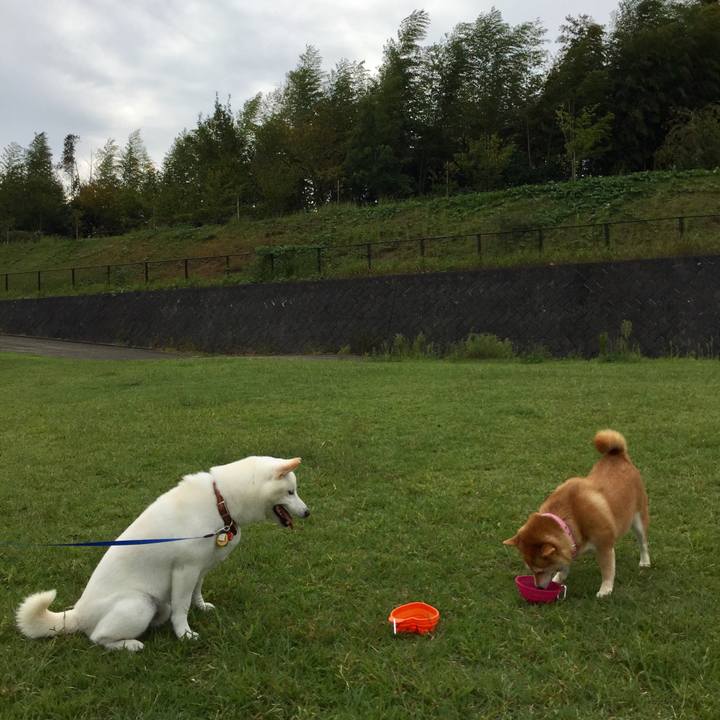 75fb4fd0 794d 4f96 8c13 7a67e70e07c7 1538717282047