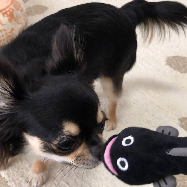 75fb78a2 3413 46f4 9647 3d0d6071596b 1561591855520