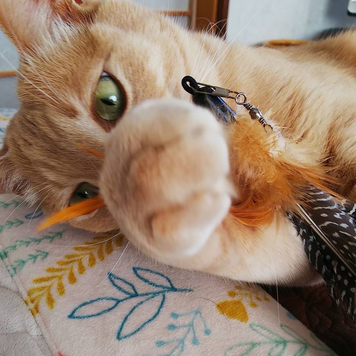 75fb7f3c e50e 4546 ad8c d1794e474ee1 1630987218447