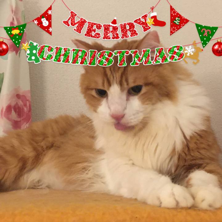 75fbdb47 47cd 425c 818b b74b42b22c27 1577116830564