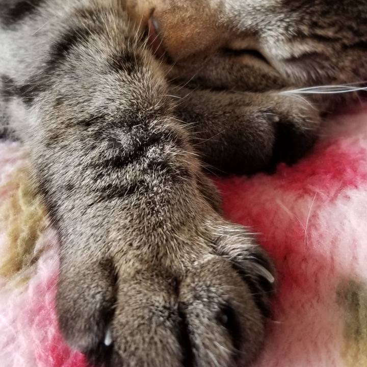 75fbffc2 0645 417a bd33 3a512f1a849f 1689207873848