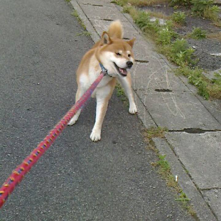 75fc2770 45d6 40d6 bb52 23af6c694d60 1526984770724