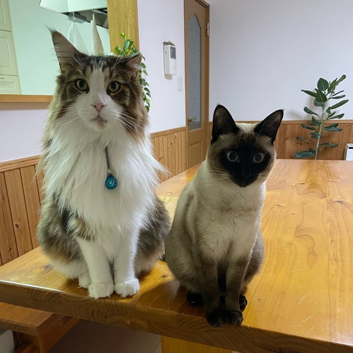 75fc2779 c80a 4892 aa0a 797b6f657eca 1733428728661