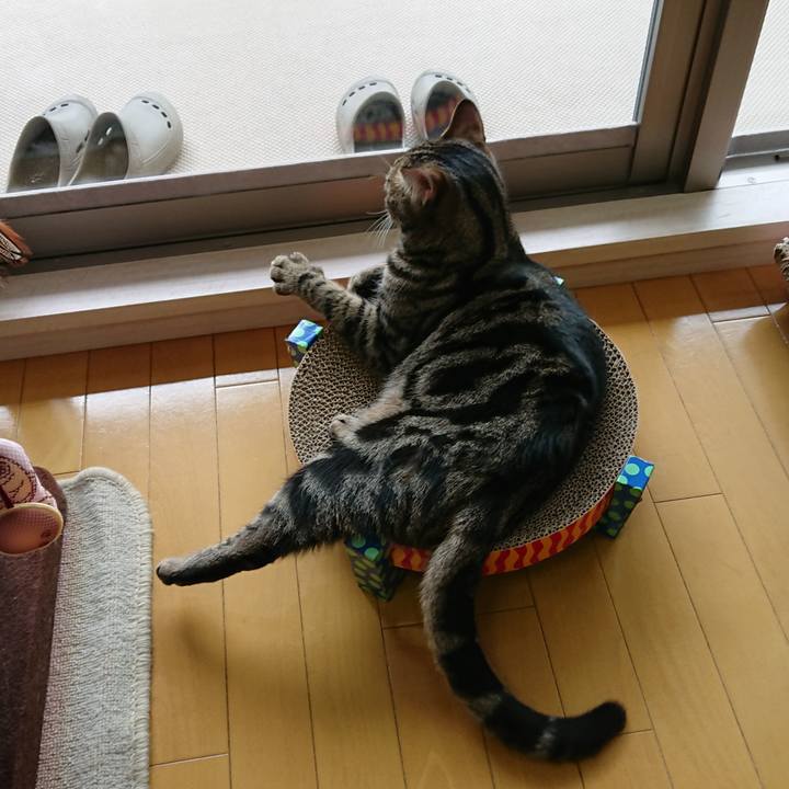 75fc3700 26d5 4670 a56d 69b79ba5b866 1558818564988