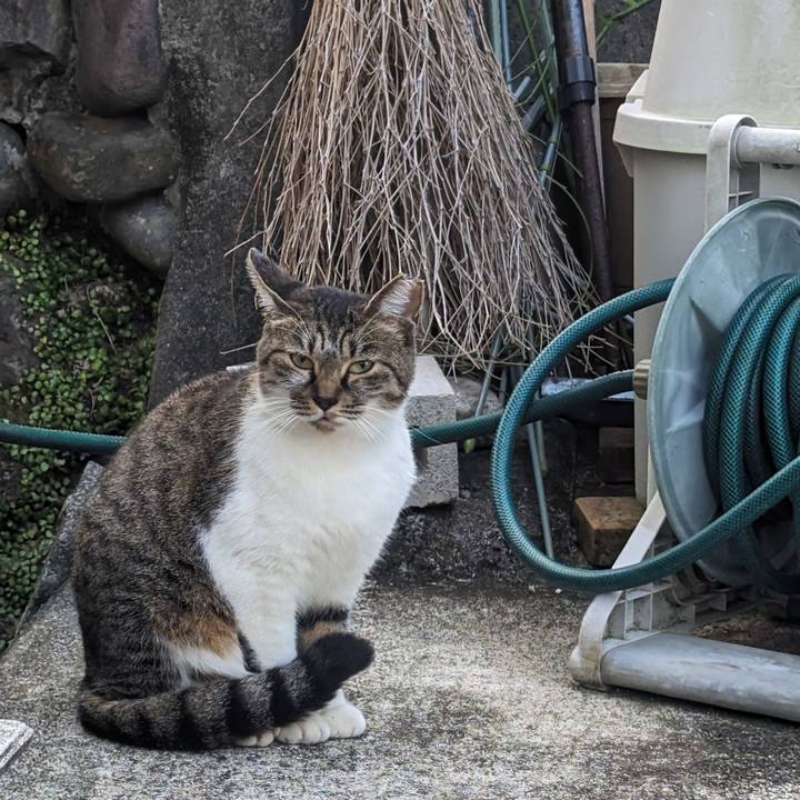 75fc5262 9f48 4c94 bfad 0ba0396323e6 1699088171070