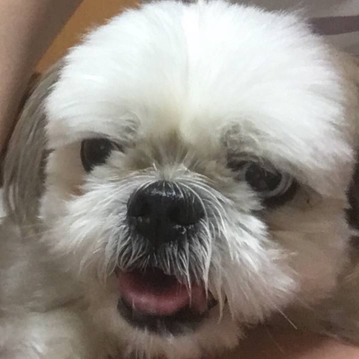 75fc66de 04b4 41dd 8d9f a67ef7012fcf 1535367794503