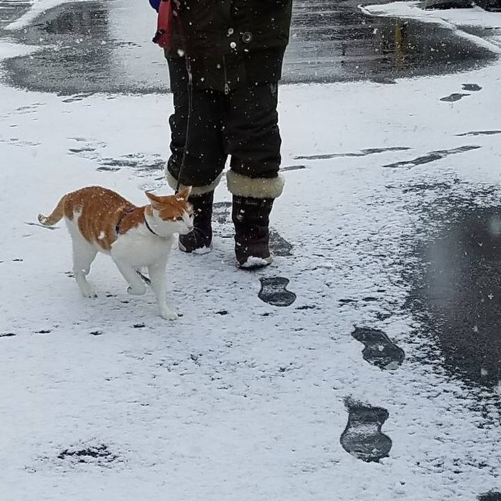 75fc6f40 1aaf 4b82 948a e93d20b255fa 1514957799126