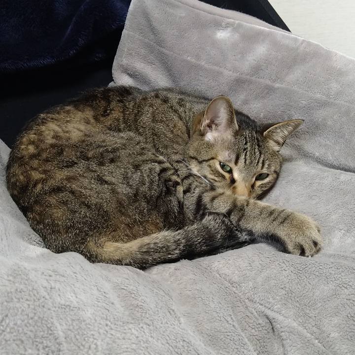 75fc6f77 beef 4285 9dcd c071750c0945 1650347559190