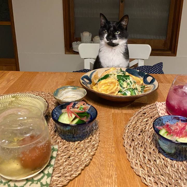 75fc80ae 37ec 4632 bc0d 5f8291d2db75 1653131507191