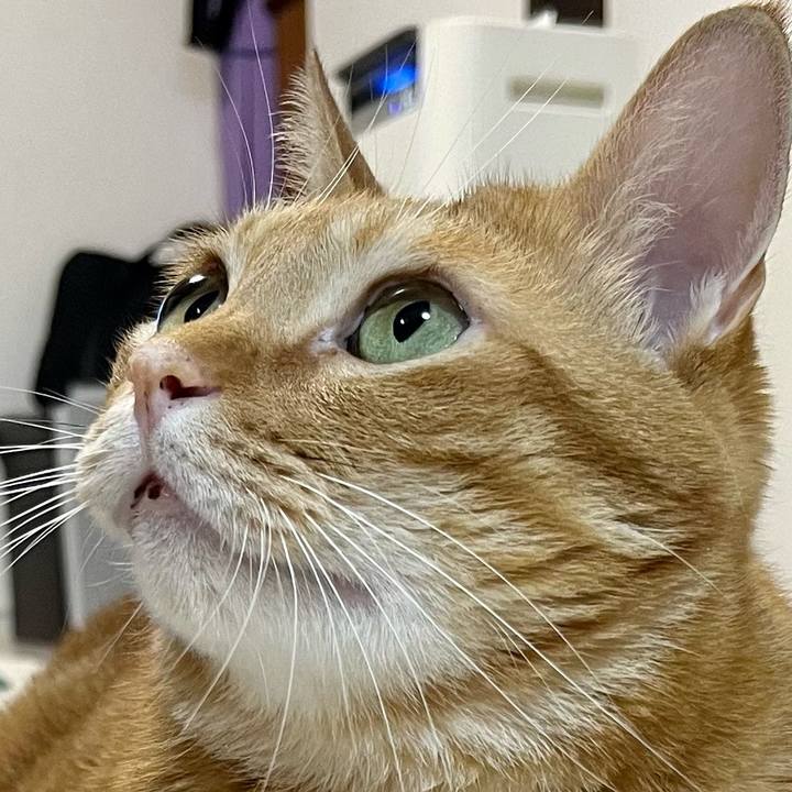 75fca1da 0b91 439d 8a66 35c8618339e0 1663366792354