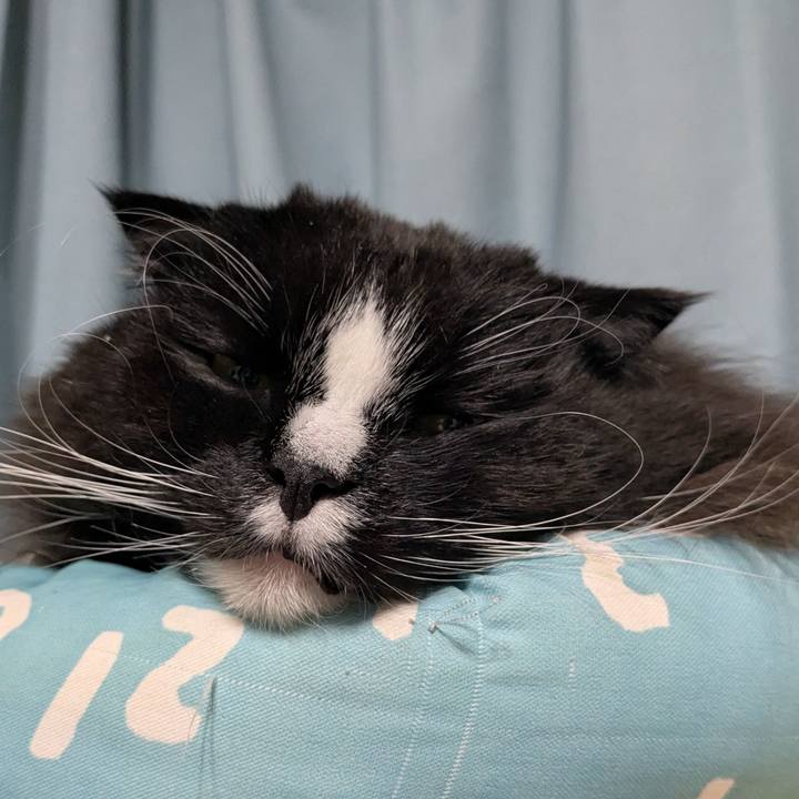 75fcc099 1315 498e 97aa aea1d4a17f9e 1737320871894