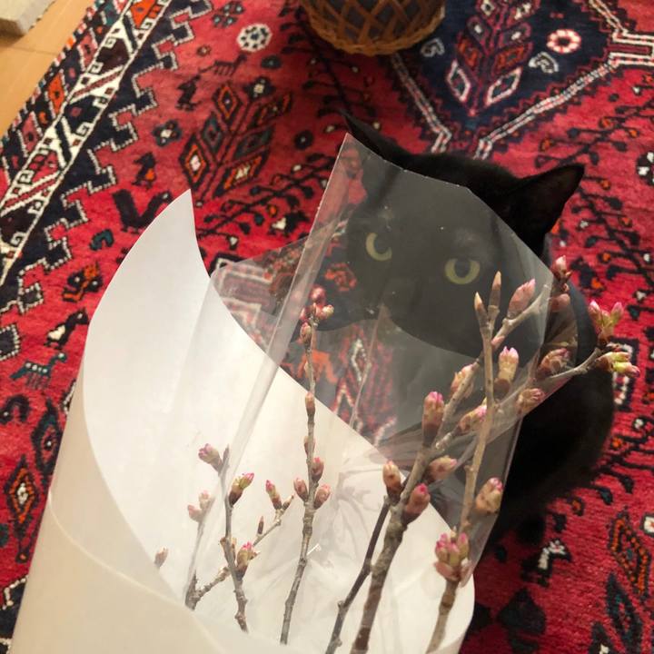 75fccb91 6459 4f24 b815 a7dadf767748 1583222982827