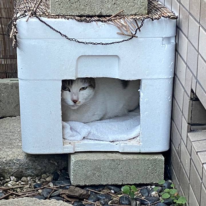 75fcd533 e1a6 4aaa ab02 579b2a812aee 1577918171241