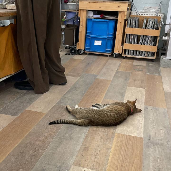 75fcdb3a 6c78 4268 ae4b 36583c5088f2 1749974225183