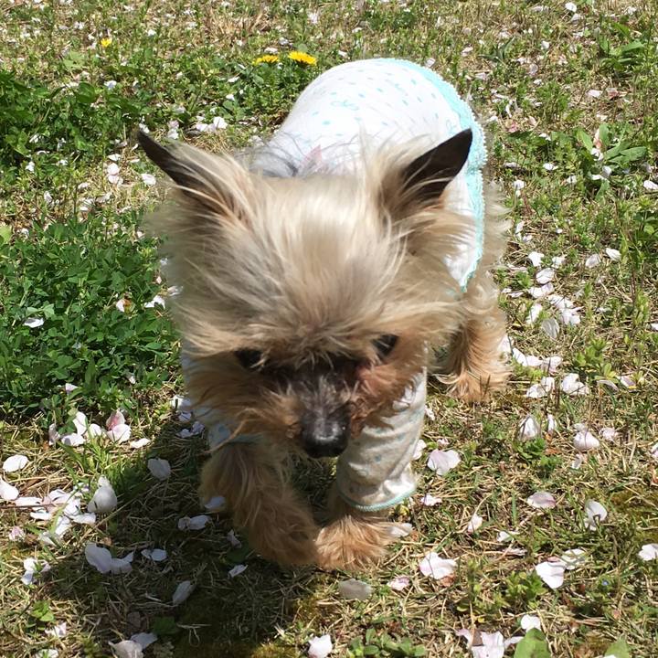 75fd27e2 09a0 4204 ad68 4c88e5daf4fd 1573557379121