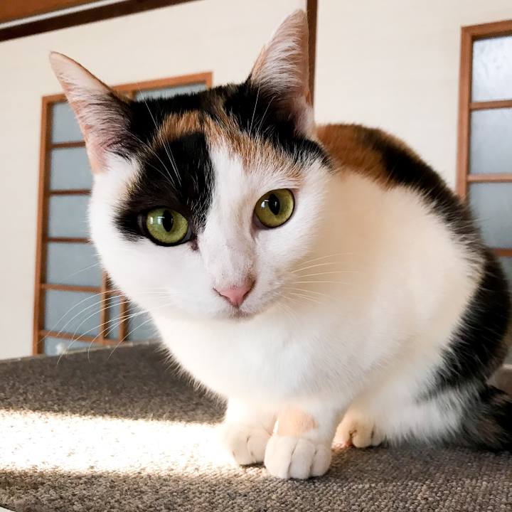 75fd44ee ab7f 47bd b3ff 110034613813 1517100675481