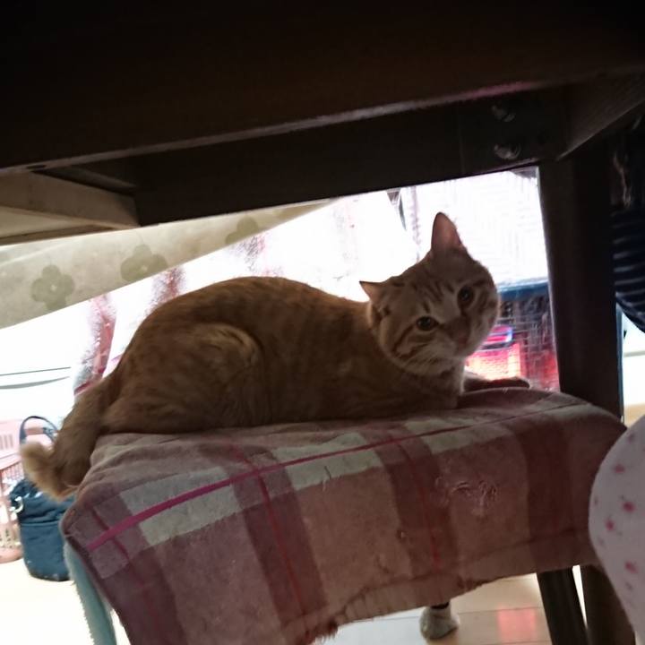 75fd6bdb be38 4f06 8249 e7c798d9fa60 1644625314069