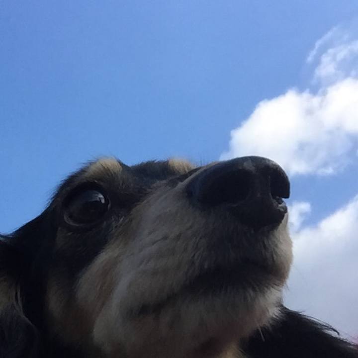 75fd8a45 fb81 42af 858f 6c1c34dfab4c 1518481988093