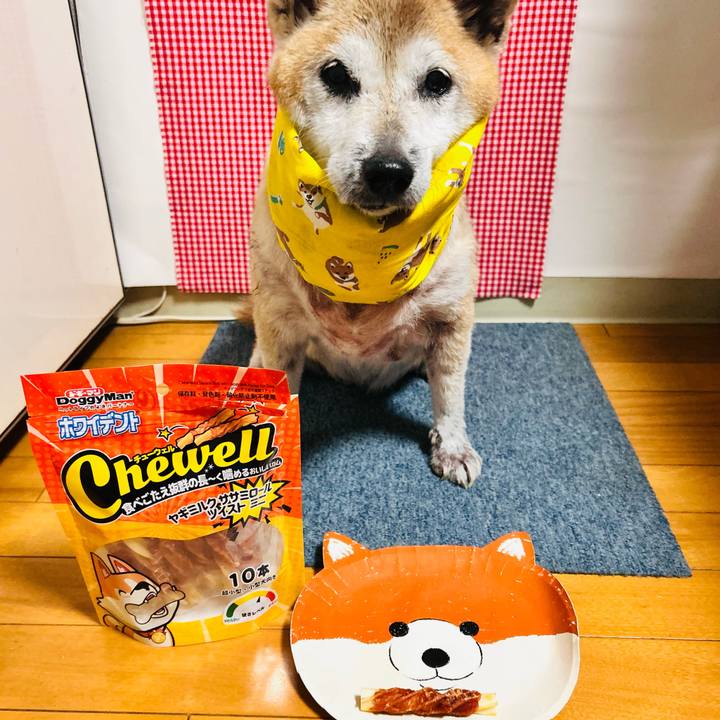 75fda091 d314 4a50 9aed c41a33514f91 1764327675997