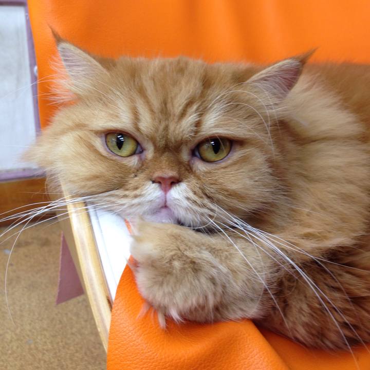 75fdfad5 1b67 48c3 a47e 76ad4d6a556f 1519864825332