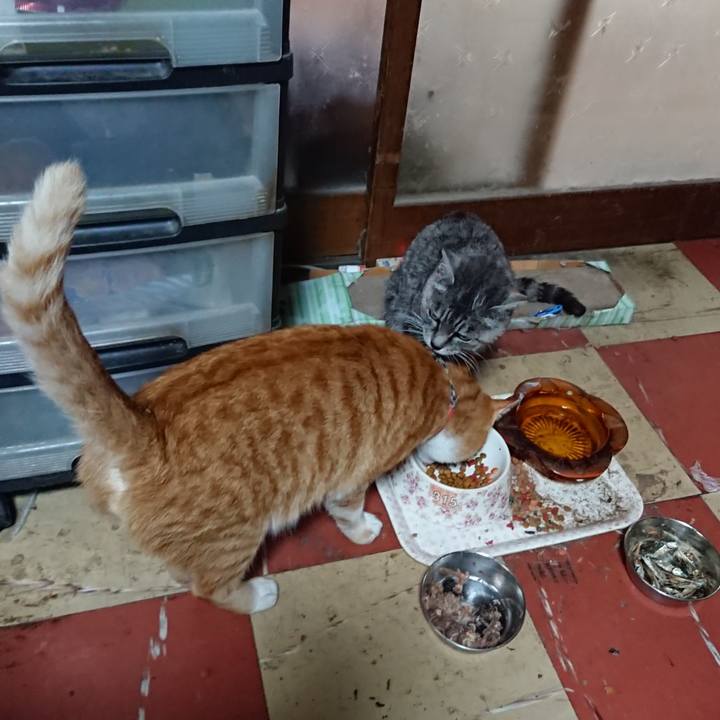 75fdfb22 df67 4a22 9095 059c75a45394 1572067485291