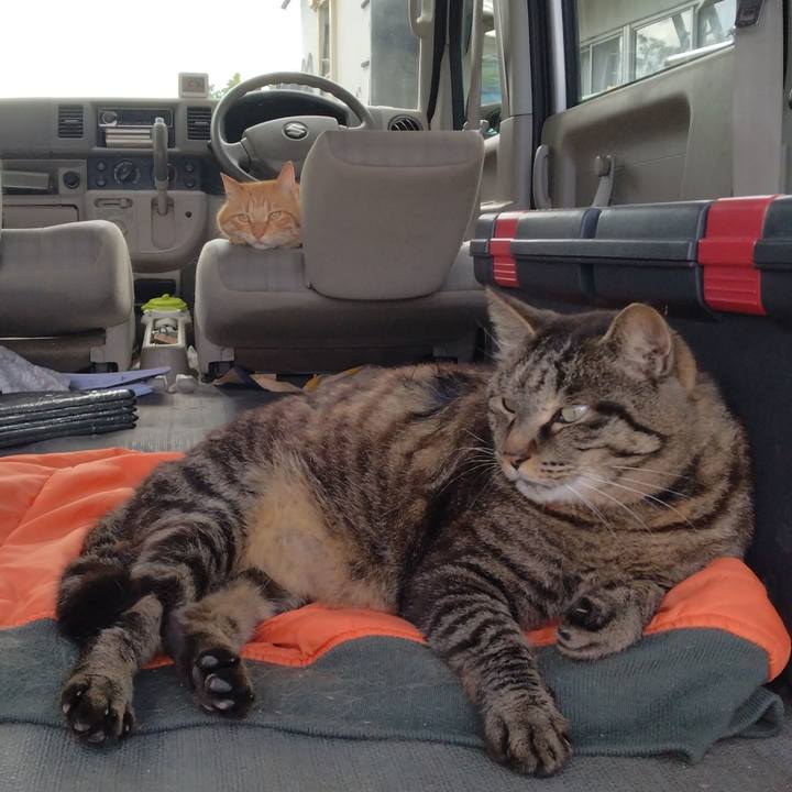 75fdfb9a 164e 4e1e b273 1f8a3198b54b 1686636272059