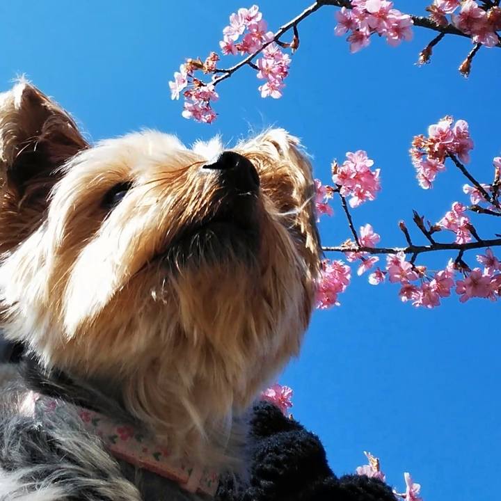 75fe1f46 75a2 43a7 aeb7 0275c665c8e0 1646547745585