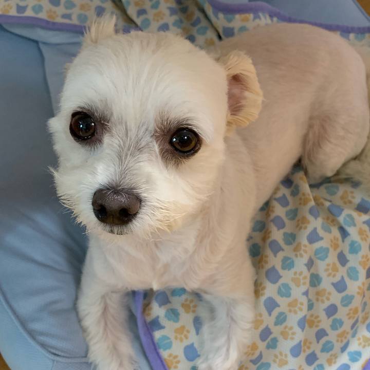 75fe21cf c575 48a7 85e6 ca6b1b22c03c 1566878084949