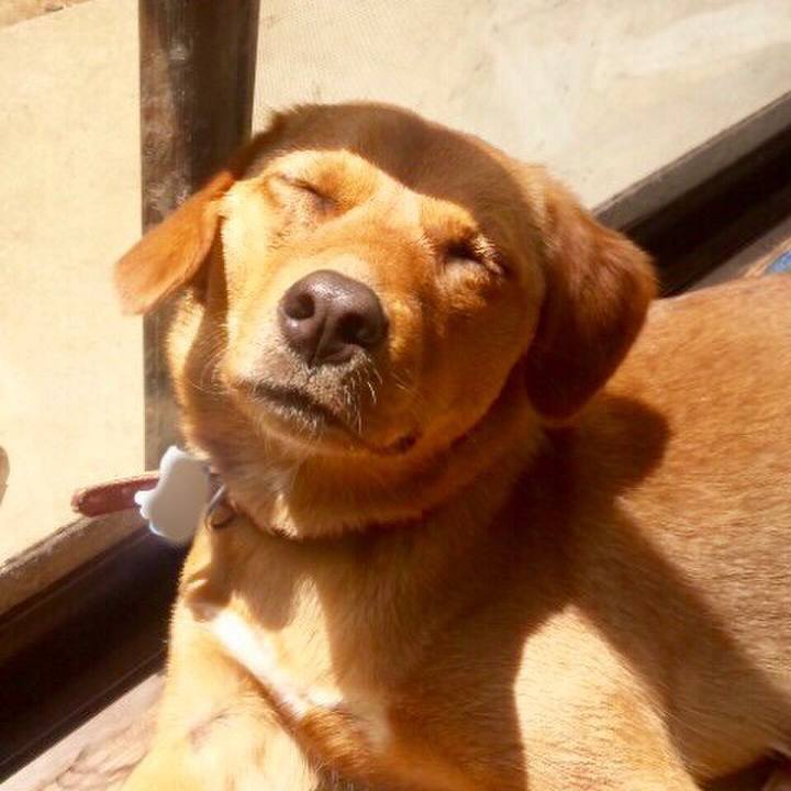 75fe257d e57b 411a 8263 dca2d5b30a44 1544352987566