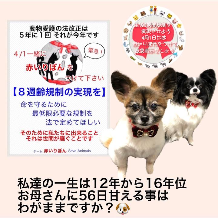 75fe68e4 49ab 417d 9828 e44a19a0023c 1554105449633