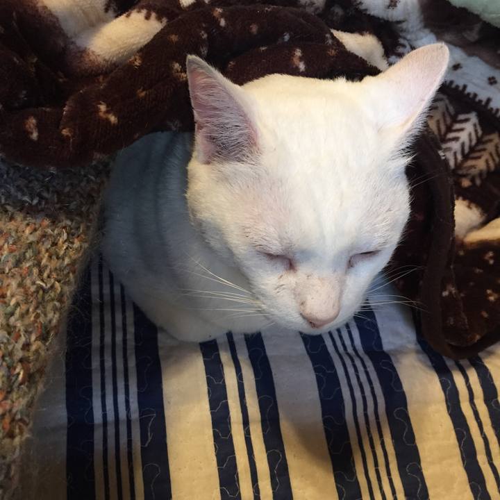 75fe9530 d13d 472e a2d0 ba6769d3087c 1544231448620