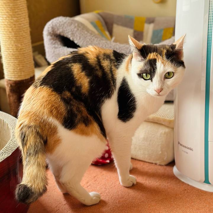 75fee155 cb8d 442e a67a 3785c04c54c7 1684117608934