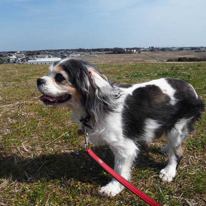 75fee6d3 b3a6 4170 97b6 d088bcd46a83 1583155525413